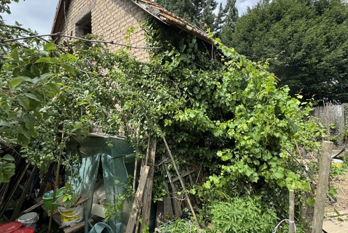 Terrain à bâtir à Niederhausbergen (67207) - photo 3