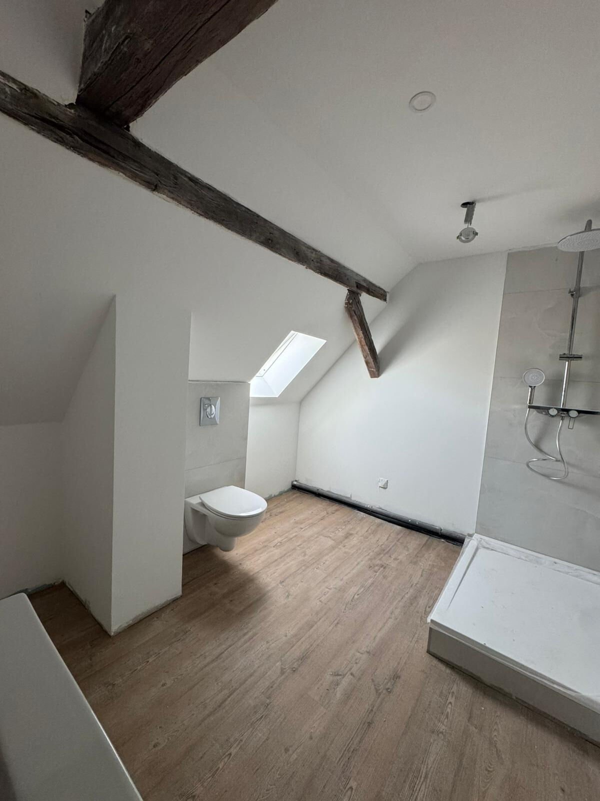 appartement-2-pieces-bischwiller-1