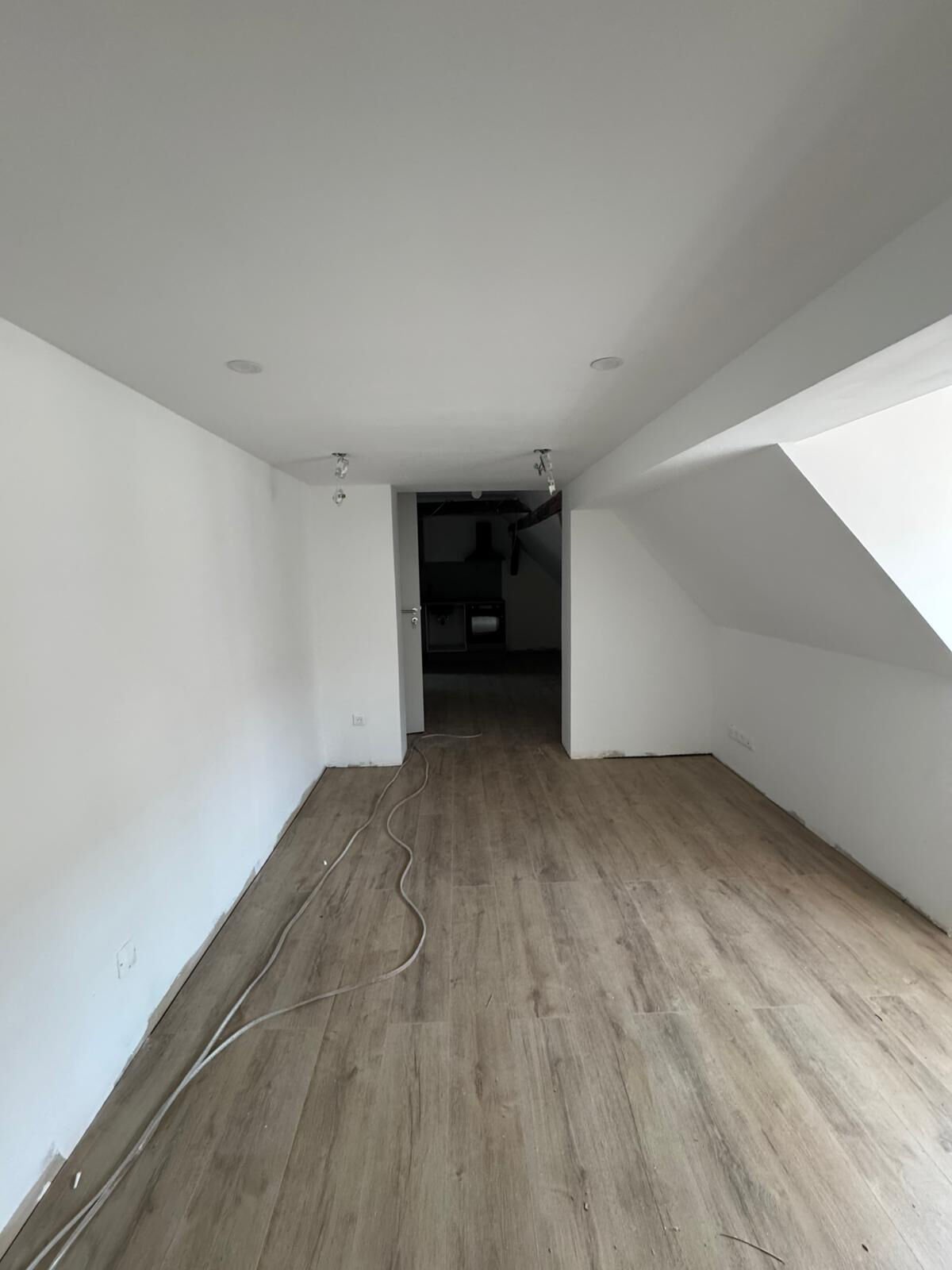 appartement-2-pieces-bischwiller-4