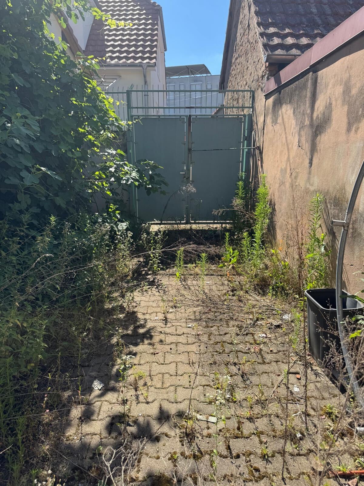 maison-bischwiller-8